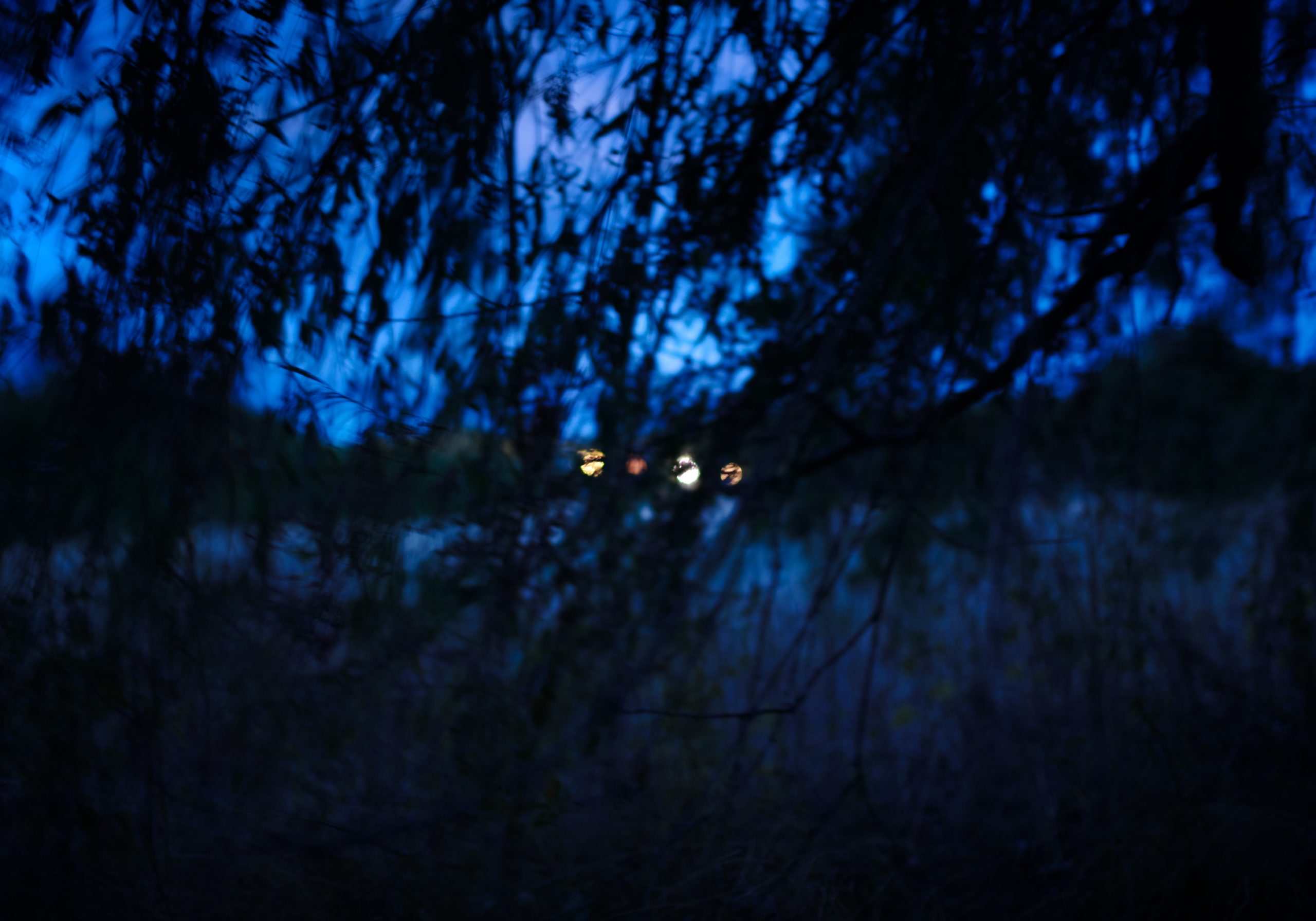 Wege 1, 2023, Das Verschwinden von Lebensspuren. Anna Ullrich, Das Copyright © 2023 des Bildes liegt bei Anna Ullrich. Alle Rechte vorbehalten.